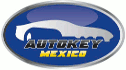 logo de Autokey México