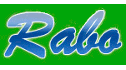 logo Guangzhou Rabo Technology Co.