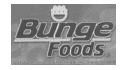 logo de Bunge Foods de Mexico