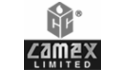 logo de Camex Limited