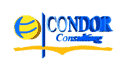 logo Condor Consulting Team