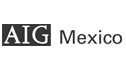 logo de Aig Mexico