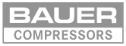 logo de Bauer Mexico