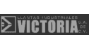 logo de llantas industriales victoria