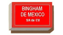 logo de Bingham de México