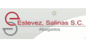 logo Estevez Salinas