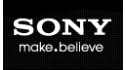 logo Sony Electronics