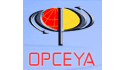 Operadora en Comercio Exterior y Aduanas