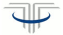 logo de Teleinformática en Servicios Avanzados