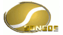logo Ruian Songde Automobile Parts Factory