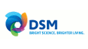 logo DSM Engineering Plastics de México
