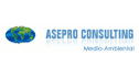 logo Asepro Consulting