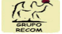 logo Grupo Recom
