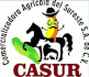 logo de Comercializadora Agrícola del Sureste