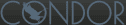 logo Condor Lift Rent