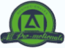 logo All Pro-Motionals