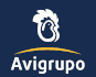 Avigrupo